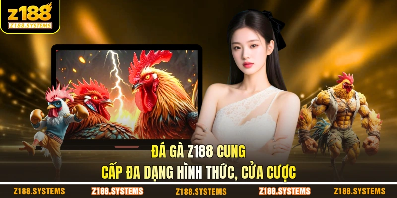 Đá gà Z188 cung cấp đa dạng hình thức, cửa cược Đá gà Z188 cung cấp đa dạng hình thức, cửa cược