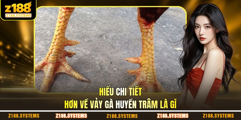 Hiểu chi tiết hơn về vảy gà Huyền Trâm là gì Hiểu chi tiết hơn về vảy gà Huyền Trâm là gì