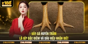 Vảy Gà Huyền Trâm Là Gì
