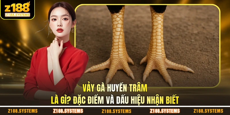 Vảy Gà Huyền Trâm Là Gì
